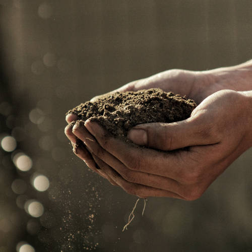 R & N Projekt GmbH, Remscheid / Meschede: Gartenbau und Landschaftsbau