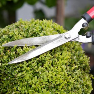 Gartenpflege